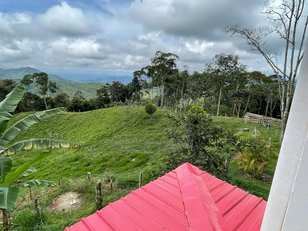 Finca Alto Gaviota